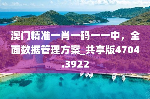 澳门精准一肖一码一一中，全面数据管理方案_共享版4704.3922