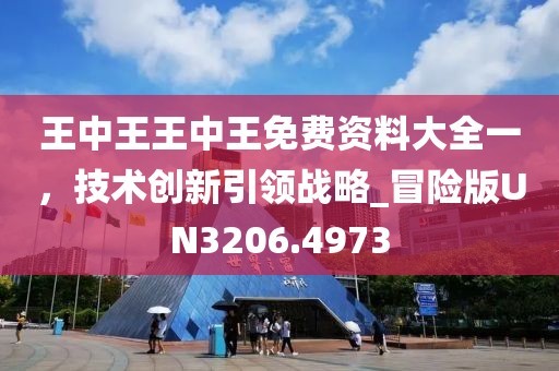 王中王王中王免费资料大全一，技术创新引领战略_冒险版UN3206.4973