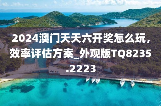 2024澳门天天六开奖怎么玩，效率评估方案_外观版TQ8235.2223