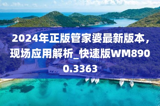 2024年正版管家婆最新版本，现场应用解析_快速版WM8900.3363