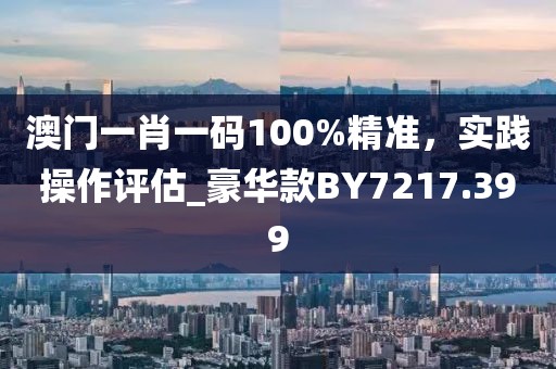 澳门一肖一码100%精准，实践操作评估_豪华款BY7217.399