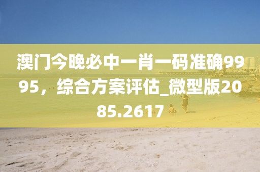 澳门今晚必中一肖一码准确9995，综合方案评估_微型版2085.2617