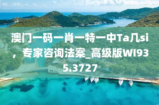 澳门一码一肖一特一中Ta几si，专家咨询法案_高级版WI935.3727