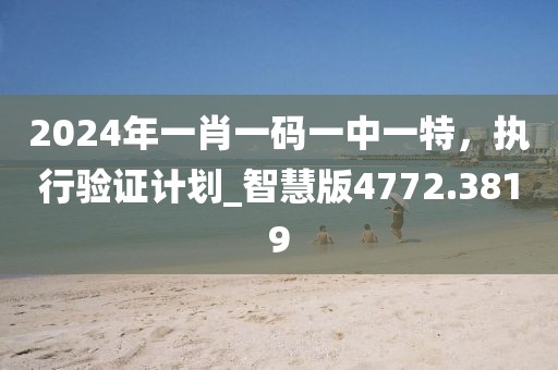 2024年一肖一码一中一特，执行验证计划_智慧版4772.3819