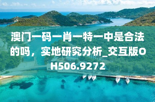澳门一码一肖一特一中是合法的吗，实地研究分析_交互版OH506.9272