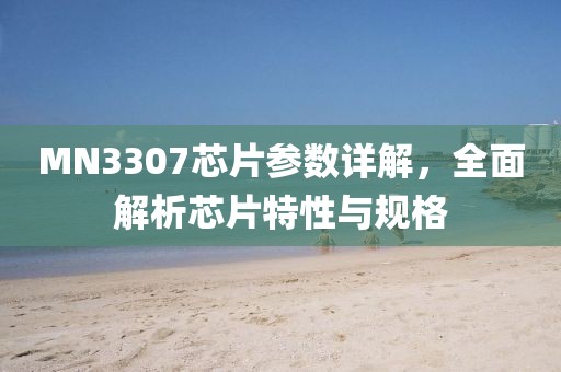 MN3307芯片参数详解，全面解析芯片特性与规格