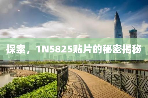 探索，1N5825贴片的秘密揭秘