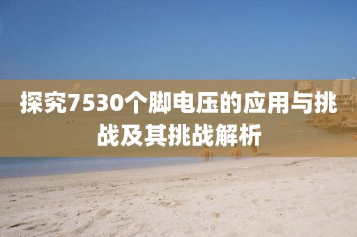 事往人 第68页