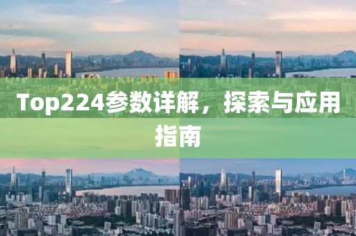 Top224参数详解，探索与应用指南