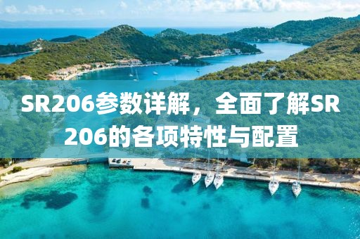 SR206参数详解，全面了解SR206的各项特性与配置