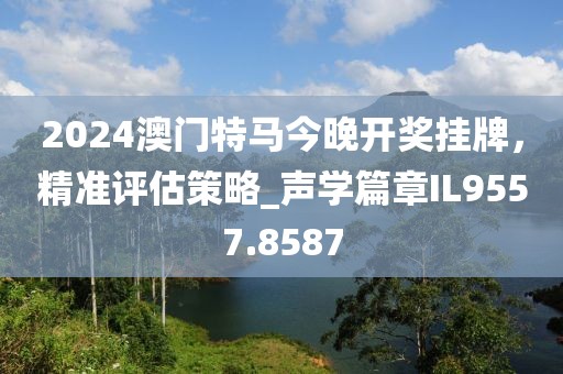 2024澳门特马今晚开奖挂牌，精准评估策略_声学篇章IL9557.8587