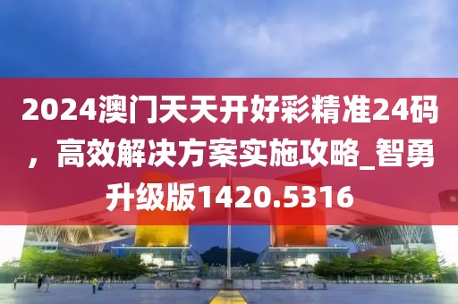 2024澳门天天开好彩精准24码，高效解决方案实施攻略_智勇升级版1420.5316