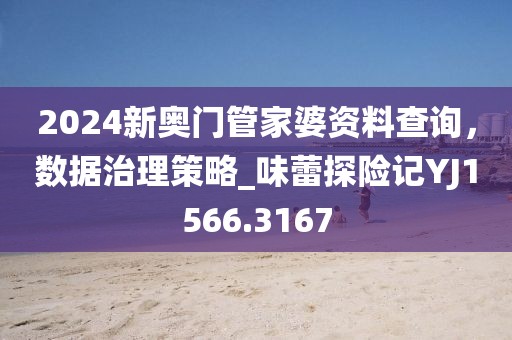 2024新奥门管家婆资料查询，数据治理策略_味蕾探险记YJ1566.3167