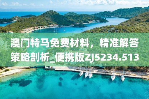 澳门特马免费材料，精准解答策略剖析_便携版ZJ5234.513