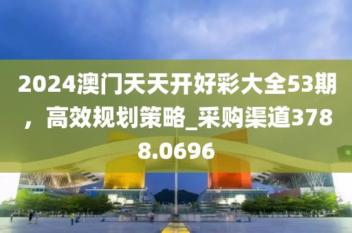 2024澳门天天开好彩大全53期，高效规划策略_采购渠道3788.0696