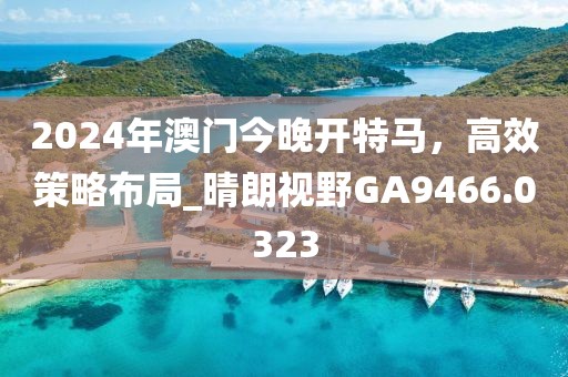 2024年澳门今晚开特马，高效策略布局_晴朗视野GA9466.0323