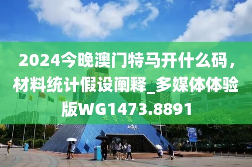 2024今晚澳门特马开什么码，材料统计假设阐释_多媒体体验版WG1473.8891