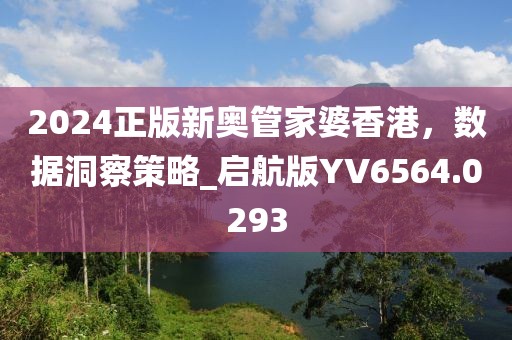 2024正版新奥管家婆香港，数据洞察策略_启航版YV6564.0293