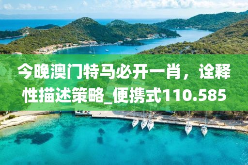 今晚澳门特马必开一肖，诠释性描述策略_便携式110.585