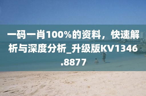 一码一肖100%的资料，快速解析与深度分析_升级版KV1346.8877
