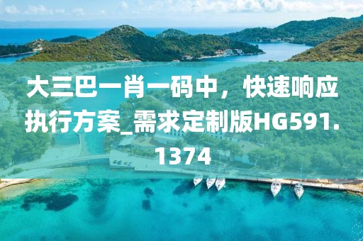 大三巴一肖一码中，快速响应执行方案_需求定制版HG591.1374