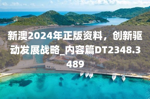 新澳2024年正版资料，创新驱动发展战略_内容篇DT2348.3489