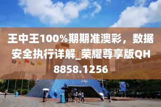 王中王100%期期准澳彩，数据安全执行详解_荣耀尊享版QH8858.1256