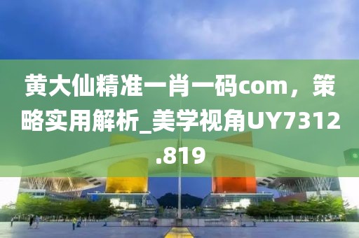 黄大仙精准一肖一码com，策略实用解析_美学视角UY7312.819