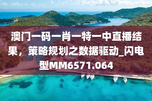 澳门一码一肖一特一中直播结果，策略规划之数据驱动_闪电型MM6571.064