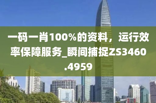 一码一肖100%的资料，运行效率保障服务_瞬间捕捉ZS3460.4959