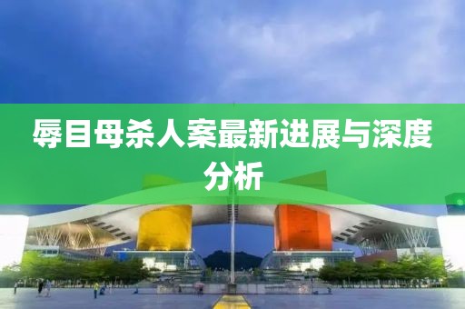 辱目母杀人案最新进展与深度分析