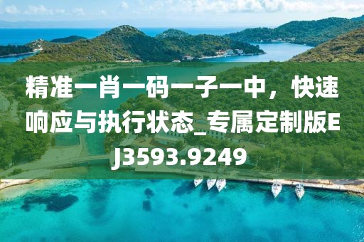 精准一肖一码一子一中，快速响应与执行状态_专属定制版EJ3593.9249