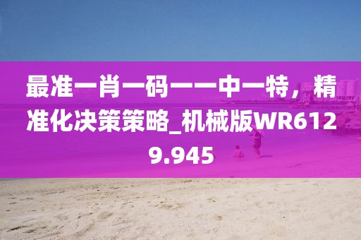 最准一肖一码一一中一特，精准化决策策略_机械版WR6129.945