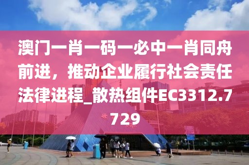 澳门一肖一码一必中一肖同舟前进，推动企业履行社会责任法律进程_散热组件EC3312.7729