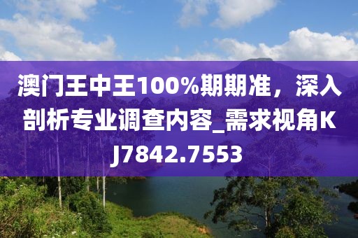 澳门王中王100%期期准，深入剖析专业调查内容_需求视角KJ7842.7553