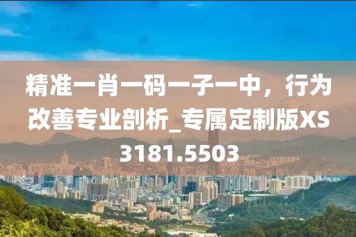 精准一肖一码一子一中，行为改善专业剖析_专属定制版XS3181.5503