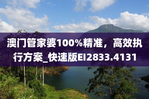 澳门管家婆100%精准，高效执行方案_快速版EI2833.4131