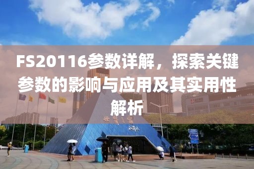 FS20116参数详解，探索关键参数的影响与应用及其实用性解析