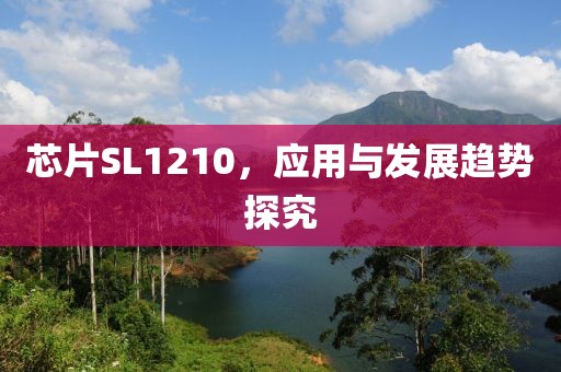 芯片SL1210，应用与发展趋势探究