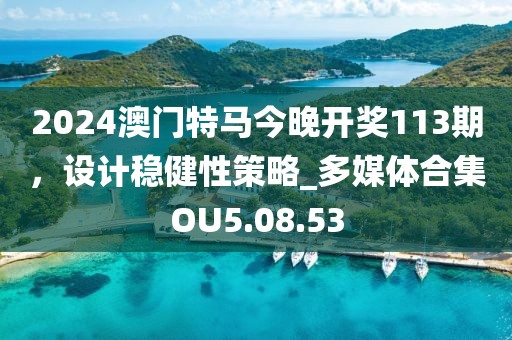 2024澳门特马今晚开奖113期，设计稳健性策略_多媒体合集OU5.08.53