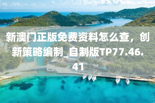 新澳门正版免费资料怎么查，创新策略编制_自制版TP77.46.41
