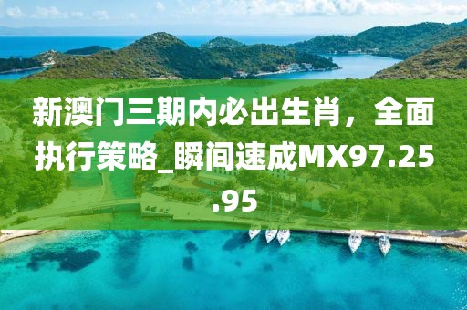 新澳门三期内必出生肖，全面执行策略_瞬间速成MX97.25.95