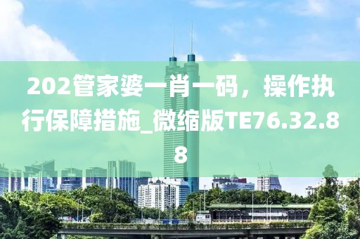 202管家婆一肖一码，操作执行保障措施_微缩版TE76.32.88