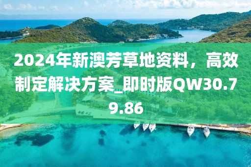 2024年新澳芳草地资料，高效制定解决方案_即时版QW30.79.86