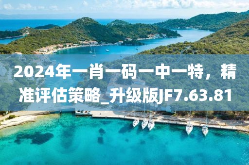2024年一肖一码一中一特，精准评估策略_升级版JF7.63.81
