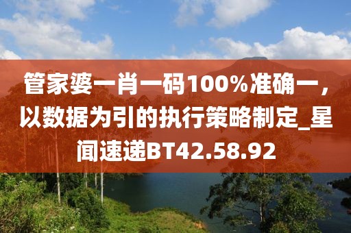 管家婆一肖一码100%准确一，以数据为引的执行策略制定_星闻速递BT42.58.92
