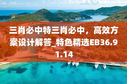 三肖必中特三肖必中，高效方案设计解答_特色精选EB36.91.14