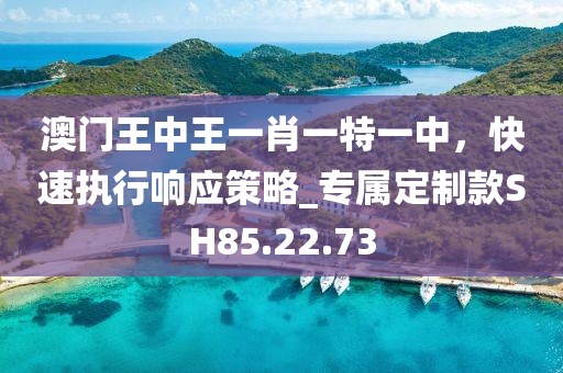 澳门王中王一肖一特一中，快速执行响应策略_专属定制款SH85.22.73