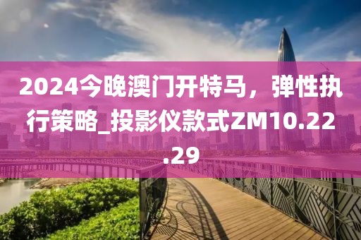 2024今晚澳门开特马，弹性执行策略_投影仪款式ZM10.22.29