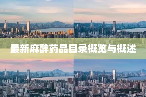 最新麻醉药品目录概览与概述